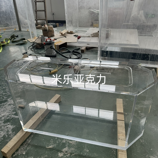 <b>不同类型鱼缸有何独特之处</b>